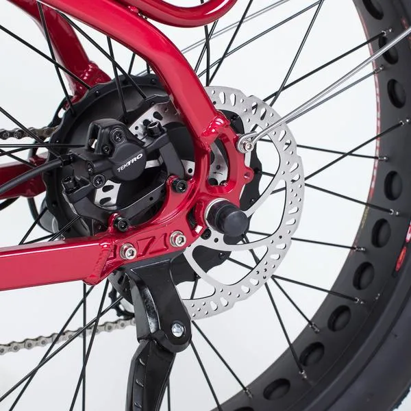 Biktrix ebike Stunner LT 5 Fat Tire Bike