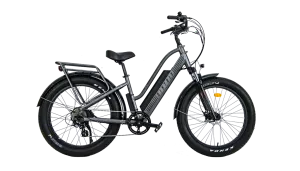 Biktrix ebike Stunner LT 5 Fat Tire Bike