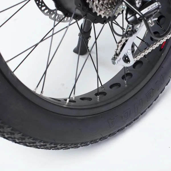 Biktrix ebike Stunner LT 5 Fat Tire Bike