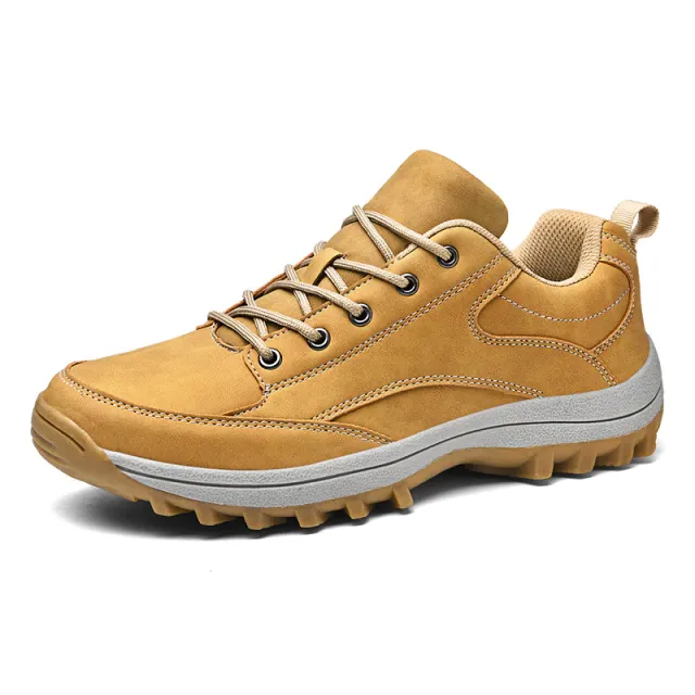 Cardiff Men's Hiking Shoes