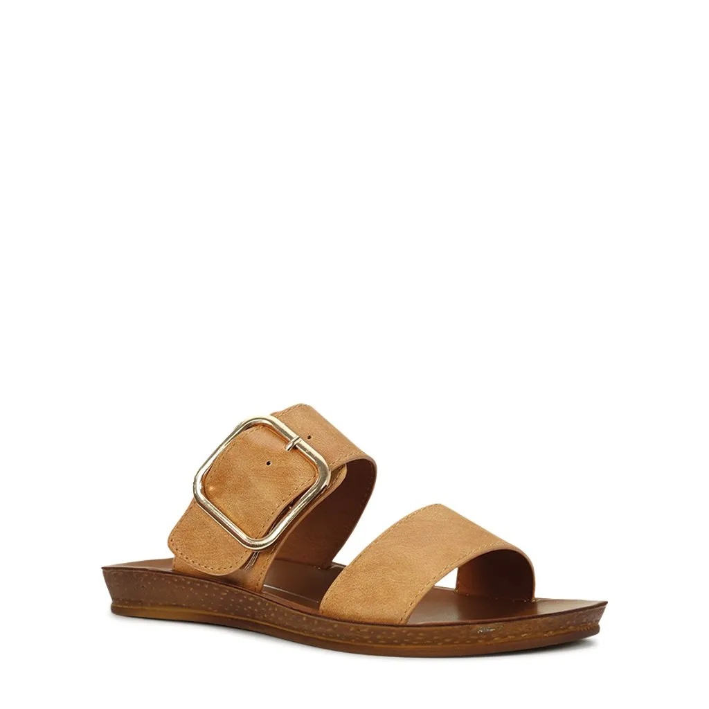 DOTI SLIDE