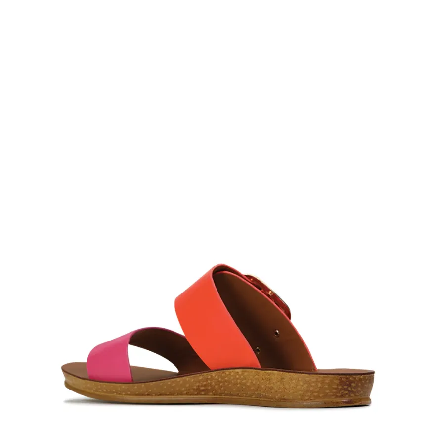DOTI SLIDE