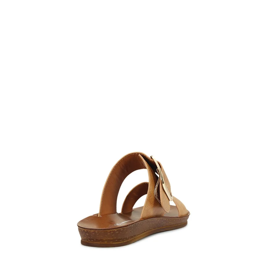DOTI SLIDE
