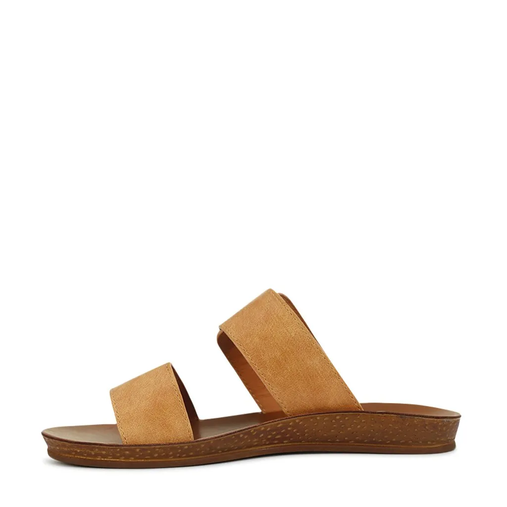DOTI SLIDE
