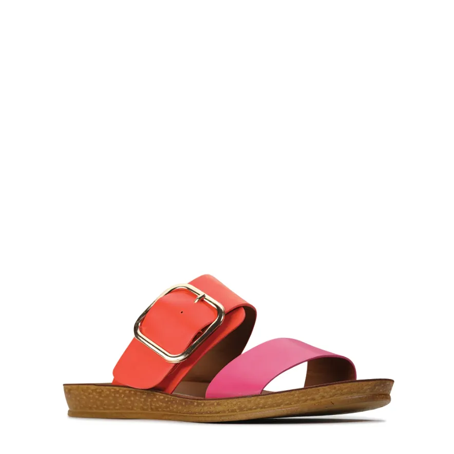 DOTI SLIDE