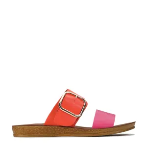 DOTI SLIDE