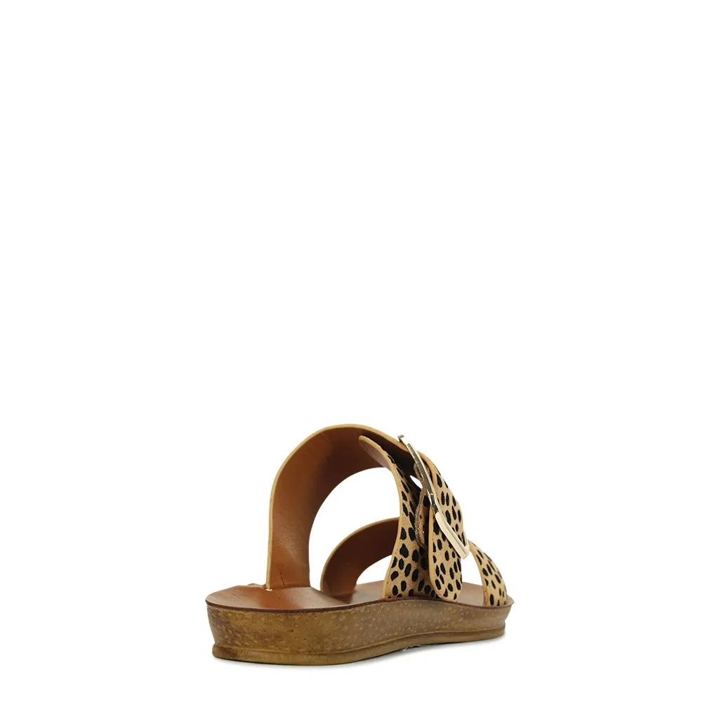 DOTI SLIDE
