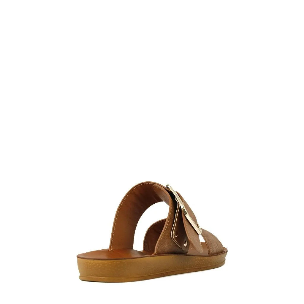 DOTI SLIDE