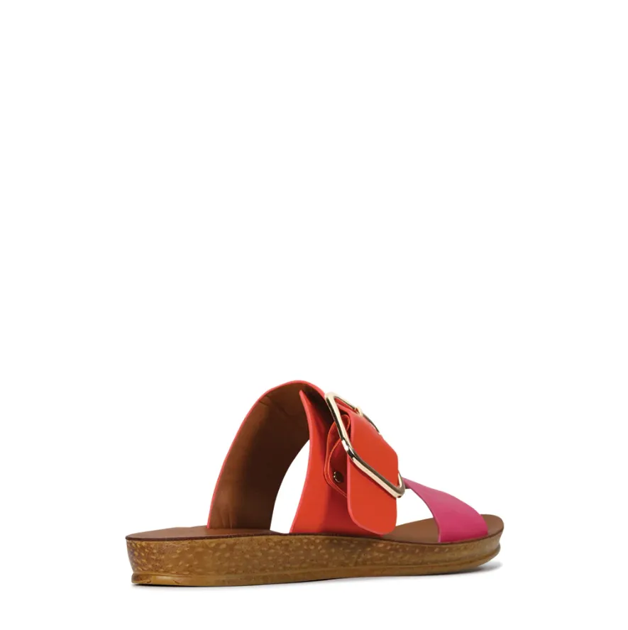 DOTI SLIDE