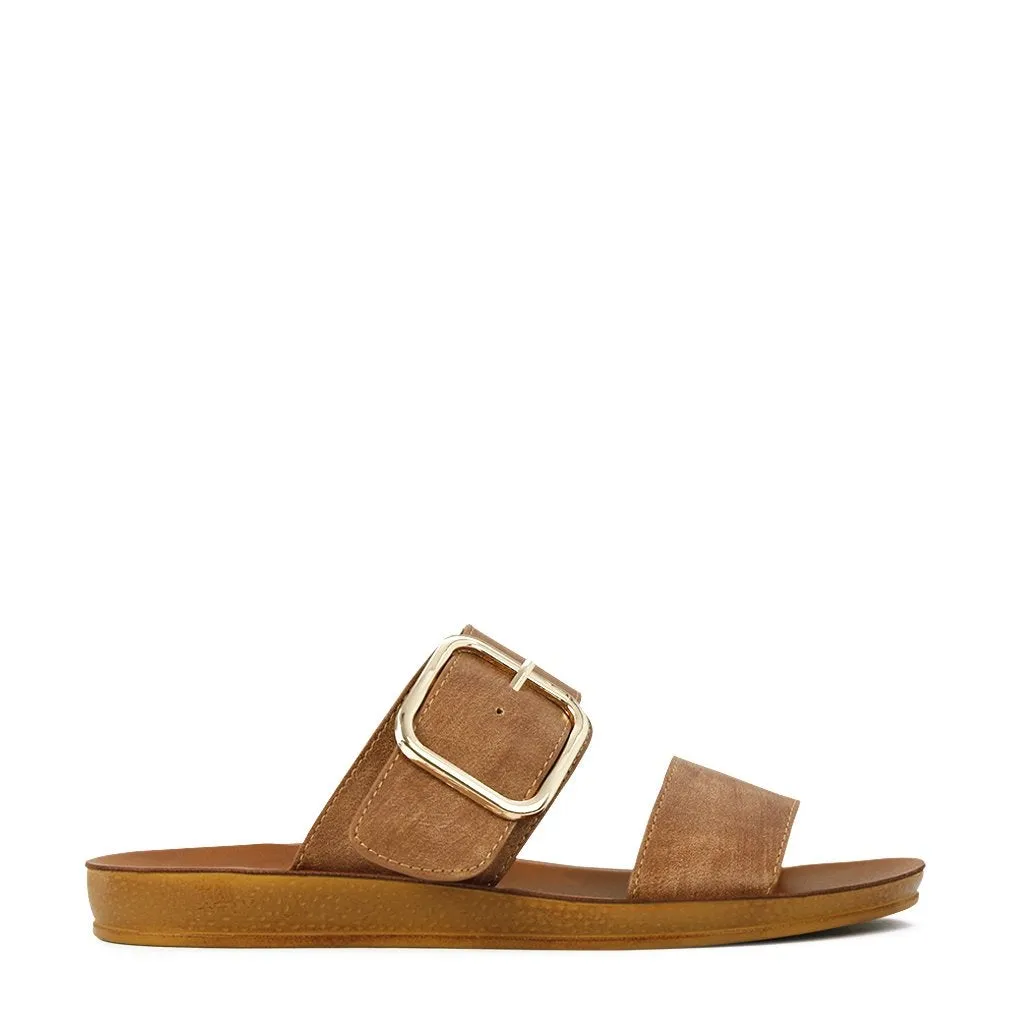 DOTI SLIDE